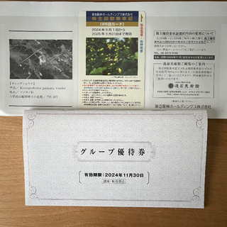 阪急阪神 ホールディングス 優待券＋ 株主回数乗車証 25回(鉄道乗車券)