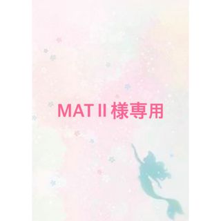 MATⅡ様専用(その他)