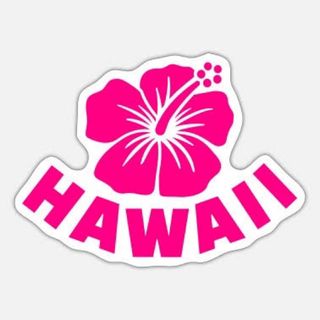 Hawaii 2枚　10センチ　ステッカー　車　転写　防水(ステッカー)