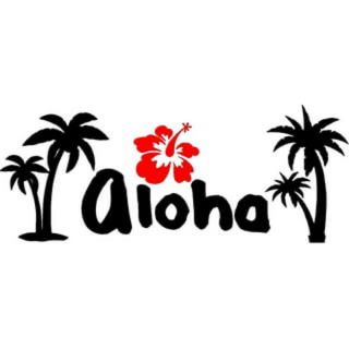 aloha 20センチ　ステッカー　車　転写　防水(ステッカー)