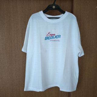 新品 未使用 英字 プリント 半袖 Tシャツ レディース Ｌサイズ 白色(Tシャツ(半袖/袖なし))