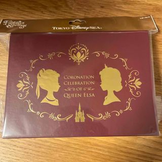 ディズニー(Disney)のファンタジースプリングス アナ雪 レターセット(キャラクターグッズ)