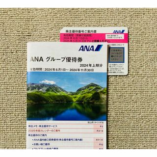 エーエヌエー(ゼンニッポンクウユ)(ANA(全日本空輸))のANA株主優待1枚【優待冊子付き】(その他)