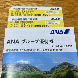 エーエヌエー(ゼンニッポンクウユ)(ANA(全日本空輸))のANA株主優待優待チケット(航空券)