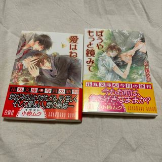 ハクセンシャ(白泉社)の「愛はね、」「ぼうや、もっと鏡みて」シリーズ(ボーイズラブ(BL))