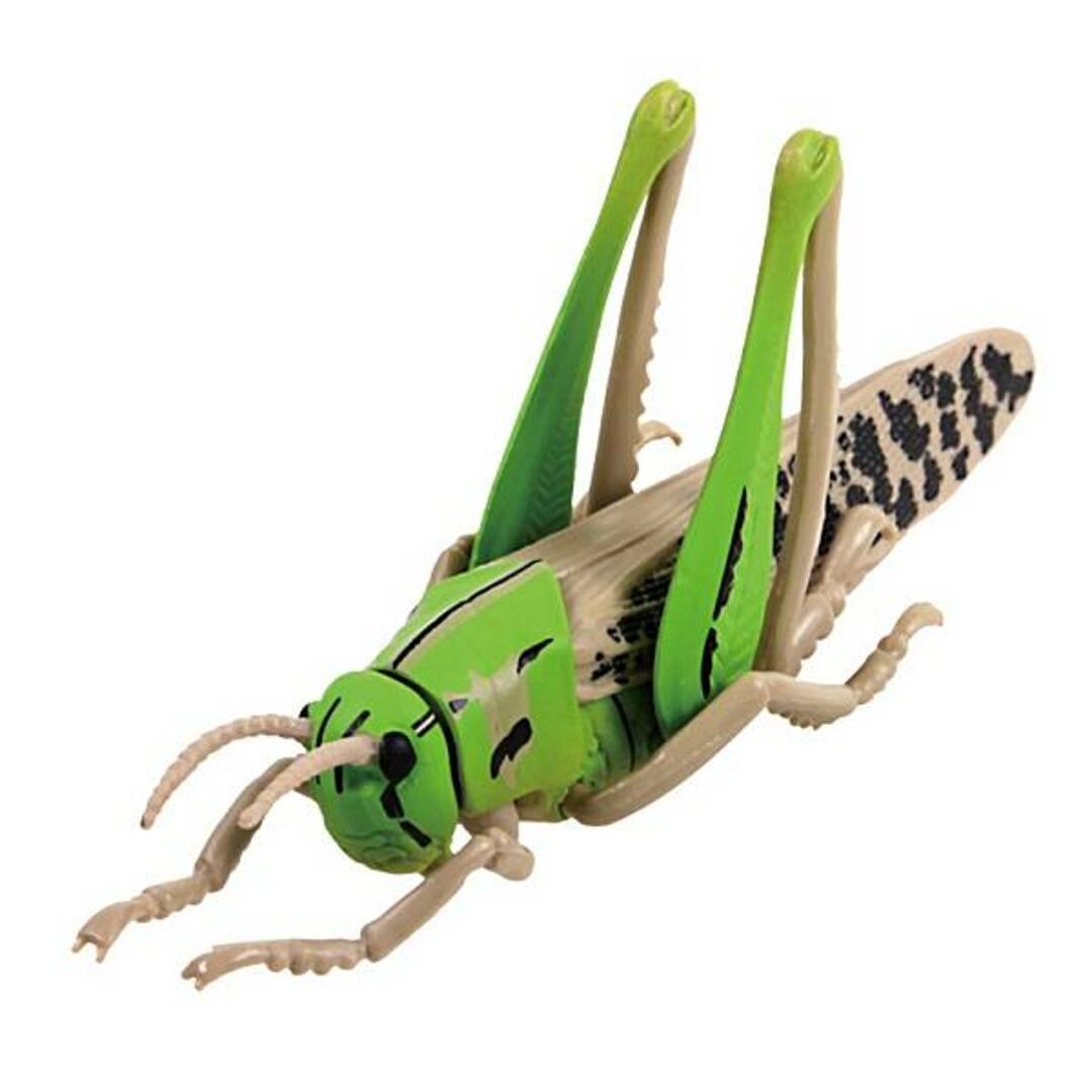 【トノサマバッタ】あそべる生物フィギュアシリーズ 昆虫の森 怪音波のなぞ エンタメ/ホビーのアニメグッズ(その他)の商品写真