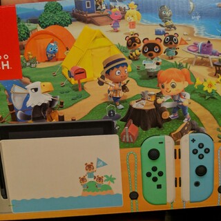Nintendo Switch - Nintendo Switch 本体 あつまれどうぶつの森 限定モデルセット