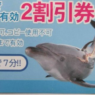 福井　越前松島水族館　入館料　割引券　1枚　三国町　東尋坊　北陸 新幹線(その他)