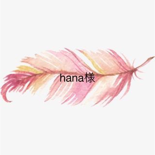 hana様　ピアス3点(ピアス)