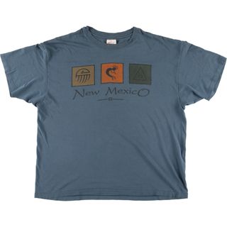 ヘインズ(Hanes)の古着 90年代 ヘインズ Hanes プリントTシャツ USA製 メンズXXL ヴィンテージ /eaa452790(Tシャツ/カットソー(半袖/袖なし))