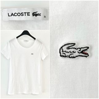 LACOSTE ラコステ 白ワニ Tシャツ 34