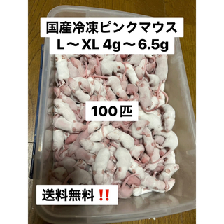 特価‼️ 国産冷凍ピンクマウスL.LL 混合100匹　4g〜6.5g(爬虫類/両生類用品)
