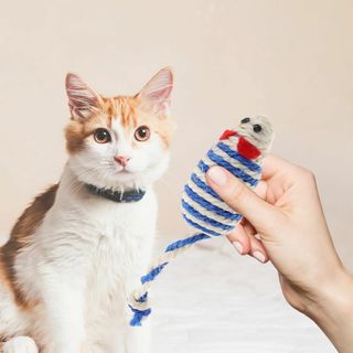 Ipetboom 4個 シミュレーションマウスおもちゃ サイザル麻猫のおもちゃ (猫)