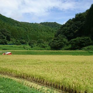 令和5年度  山口県産  コシヒカリ  新米  15㎏(米/穀物)