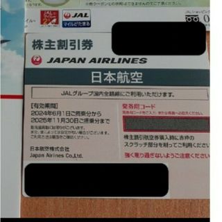 ジャル(ニホンコウクウ)(JAL(日本航空))の日本航空　株主優待券(その他)