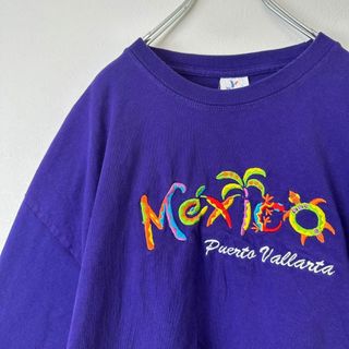 ビンテージ　古着　メキシコ製　カラフル　刺繍　メンズ　半袖tシャツ　XL(Tシャツ/カットソー(半袖/袖なし))