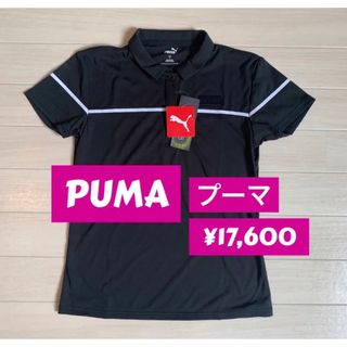 プーマ(PUMA)の新品■17,600円【プーマ】レディース 半袖ポロシャツ　M/9号　ゴルフウェア(ウエア)