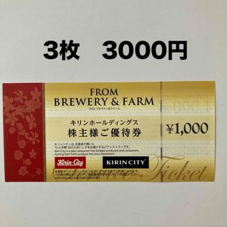 キリンホールディングス  株主優待券  3000円分