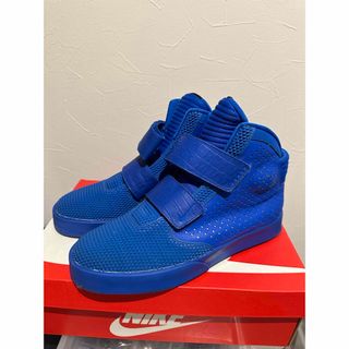 ナイキ(NIKE)のNike Fly Stepper 2k3 28.5cm(スニーカー)