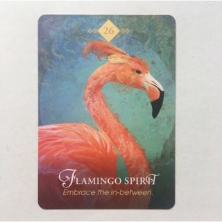 【最安値】オラクルカード　FLAMINGO