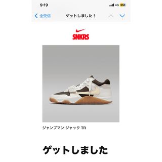 ナイキ(NIKE)のNIKE travis  Scott JUMPMAN 29cm(スニーカー)