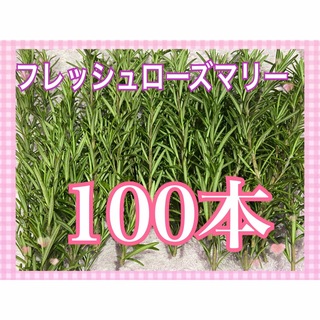 無農薬　フレッシュローズマリー100本(オーダーメイド)