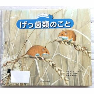 げっ歯類のこと 自然スケッチ絵本館 キャスリン シル ジョン シル他
