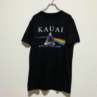 アメリカ古着　KAUAI　カウアイ　パロディ　半袖　Tシャツ　プリント　I381(Tシャツ/カットソー(半袖/袖なし))