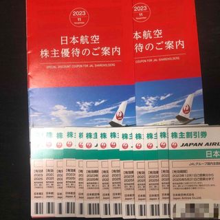 ジャル(ニホンコウクウ)(JAL(日本航空))のJAL 株主割引券13枚➕優待冊子2冊(その他)