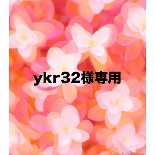 ykr32様専用(クレンジング/メイク落とし)