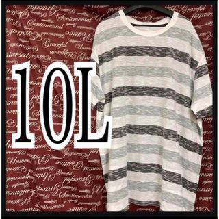 10L・裏地使いボーダーTシャツ新品/Mcj-305(Tシャツ/カットソー(半袖/袖なし))