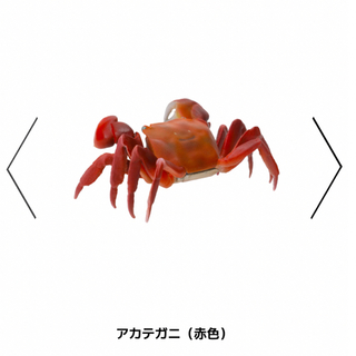 BANDAI - BANDAI いきもの大図鑑01 甲殻類01 アカテガニ　赤色