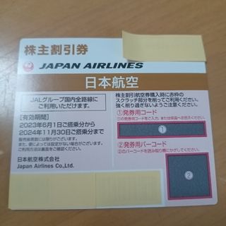 ジャル(ニホンコウクウ)(JAL(日本航空))のJAL株主優待券(その他)