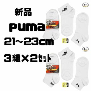 プーマ(PUMA)の新品[プーマ] ソックス 21～23cm 3足組×２セット(靴下/タイツ)
