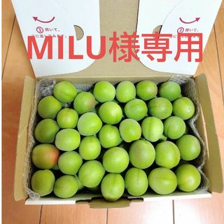 MILU様専用　青梅　無農薬　正味1.5kg(その他)