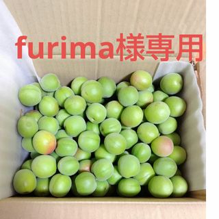 furima様専用　青梅　無農薬　4kg　サイズミックス(その他)