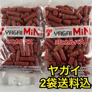 最安値　大人気‼️お徳用　ヤガイのコラーゲン入りミニカルパス250g✖︎2袋