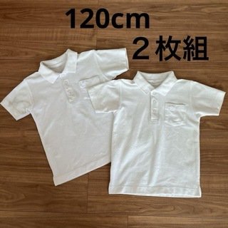 ポロシャツ 2枚組 半袖 無地 白 小学校 小学生 120cm(その他)