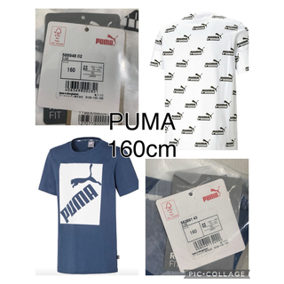PUMA - 【新品2枚セット】PUMA プーマ Tシャツ 160cm キッズ ジュニア