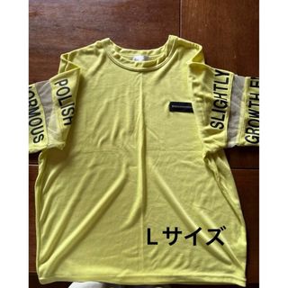 ☆最終値下げ☆レディース　 半袖Tシャツ　Lサイズ(シャツ/ブラウス(長袖/七分))