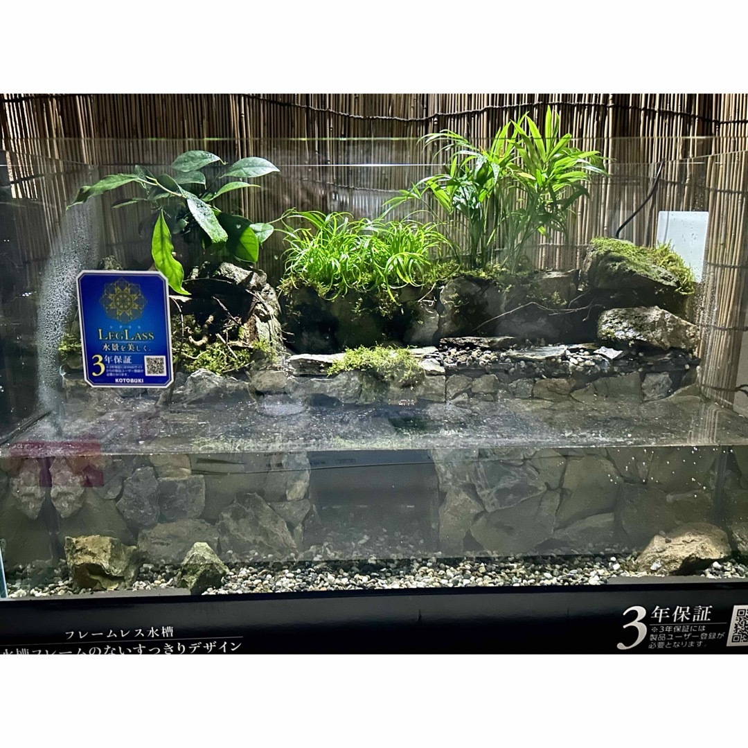 美品 オールガラス900オーバーフロー水槽90cmセット 持ち運べ 美品 オールガラス900オーバーフロー水槽90cmセット 持ち運べ