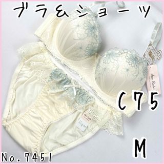 ブラジャーショーツセットC75    No.7451(ブラ&ショーツセット)