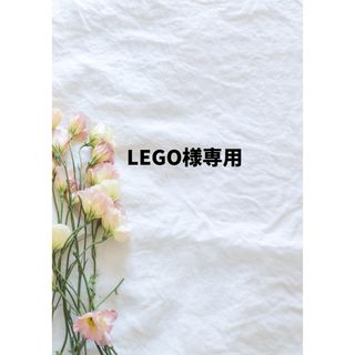 ＊LEGOさま専用＊(その他)