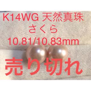 K14WG 天然真珠　さくら　ピアス　10.81/10.83(ピアス)