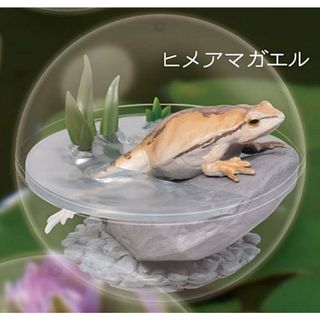 【ヒメアマガエル】カプリウムコレクション カエル(その他)