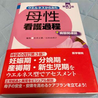 ウエルネスからみた母性看護過程＋病態関連図