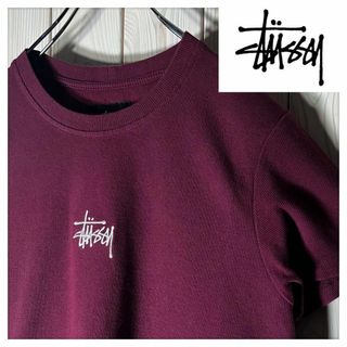 STUSSY - 【美品 レディースM】ステューシー ショーンフォント 刺繍ロゴ ニットT