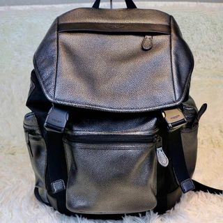 コーチ(COACH)の未使用級　コーチ　COACH リュック　メタリック　ペプルドレザー　バックパック(バッグパック/リュック)