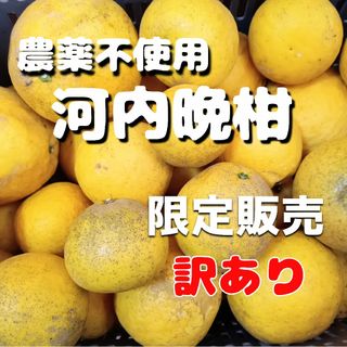 【限定】愛媛県産★農薬不使用 河内晩柑 訳あり 8〜9キロ