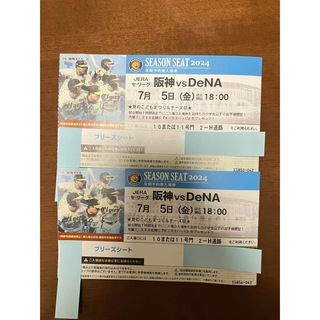 ハンシンタイガース(阪神タイガース)の阪神vsDeNA ブリーズシートペアチケット（通路側）(野球)